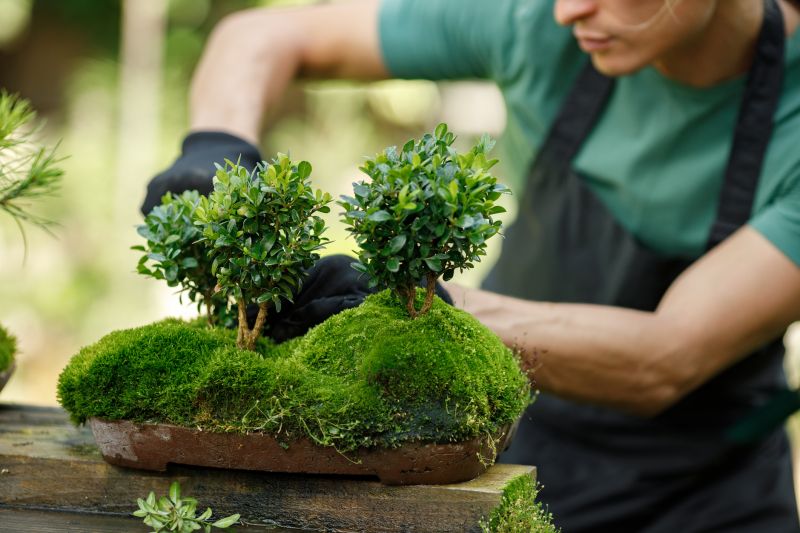Bonsai Planting