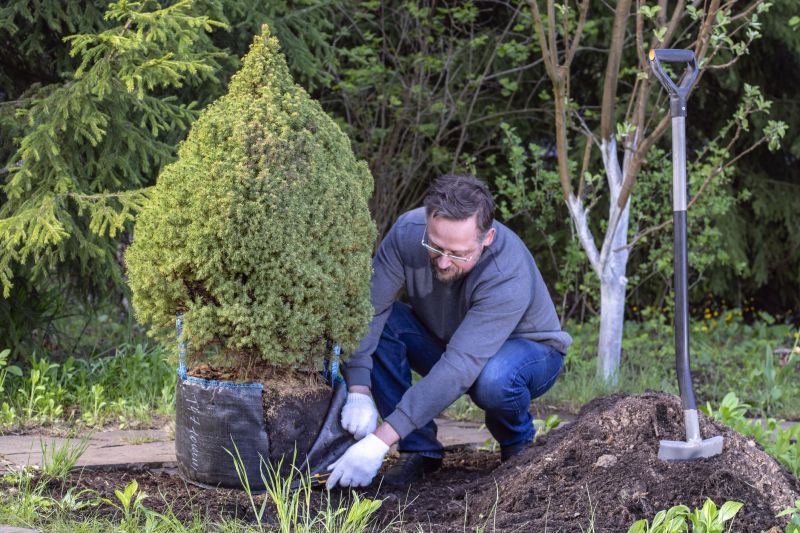 Bonsai Planting